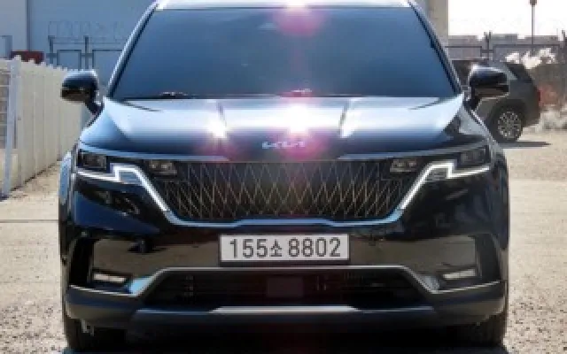 기아 카니발 2022/03 42,262km